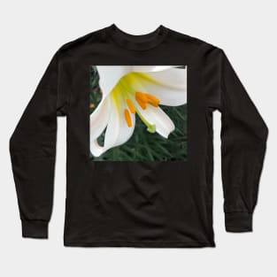 The Rise and Shine of the Glorious Easter Lily Long Sleeve T-Shirt